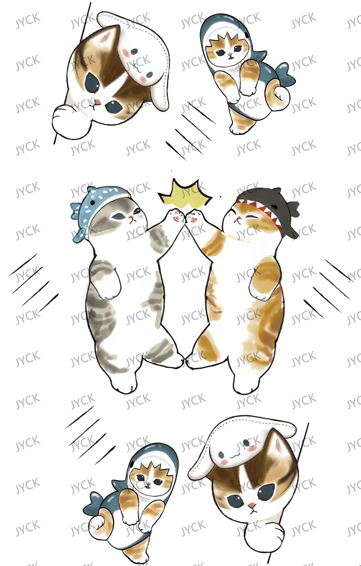 Z2494